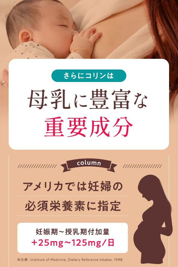 コリンは母乳に豊富な重要成分